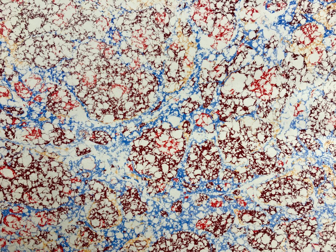 Itališkas marmurinio popieriaus raštas || Italian marbled papers pattern