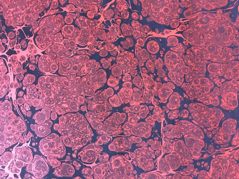 Marmurinis popierius || Stormont || Marbled paper