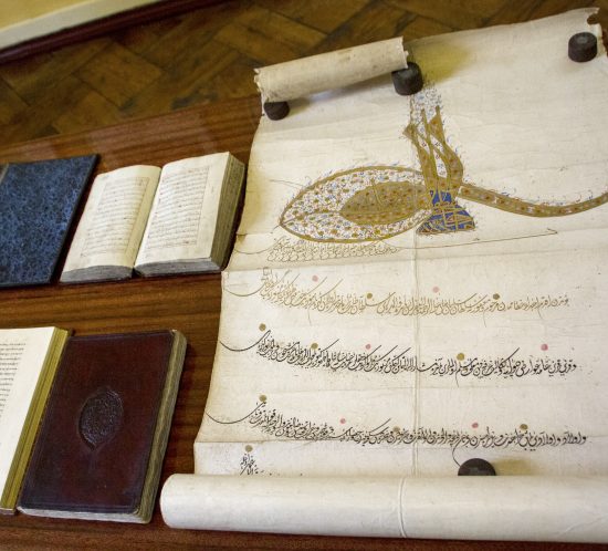 Paskaita LMAVB || Lecture in LMAVB